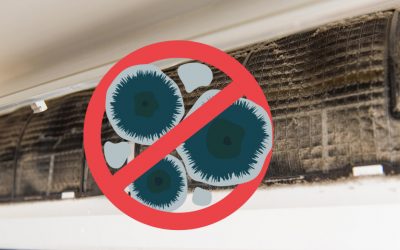 Molds Can Grow in Your Aircon unit – Is Yours Safe?