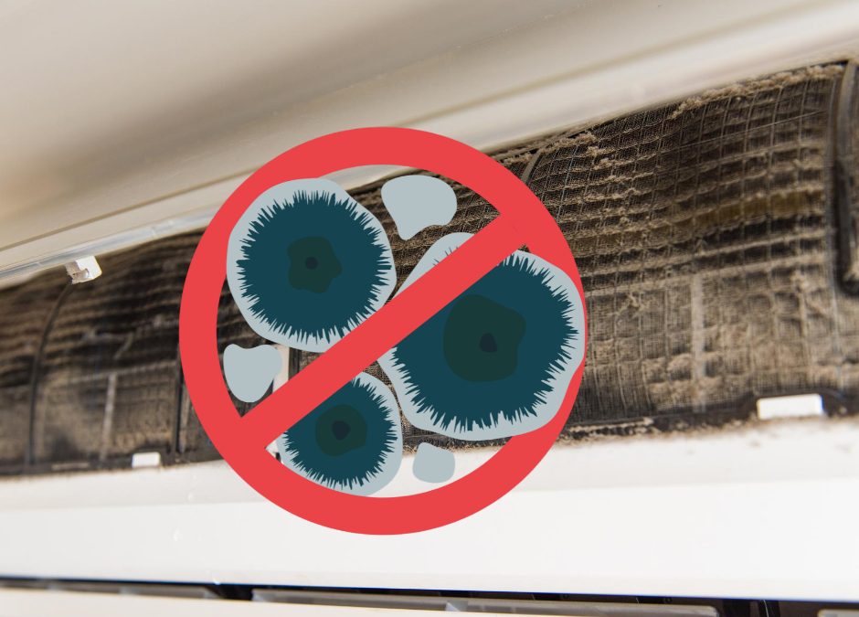 Molds Can Grow in Your Aircon unit – Is Yours Safe?
