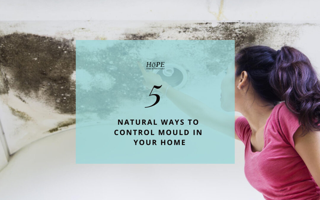 5 Natural Ways to Control Mould in Your Home