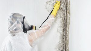 How to Prevent Mold and Mildew
