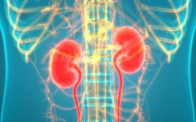 Former EdgePark VP Ventures Out to Help People with Diabetes Detect Ki