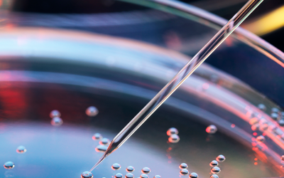 Vertex Type 1 Diabetes Research Stirs Hope for Stem Cell-Based ‘Cure’