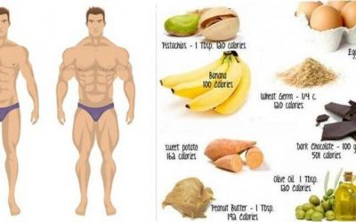 Basic nutrition rules to recover after the workout – Fitness and Power