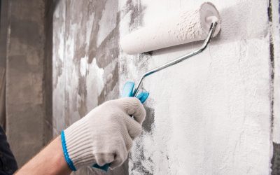 Benefits of Using Mould Wash and Paint Additives