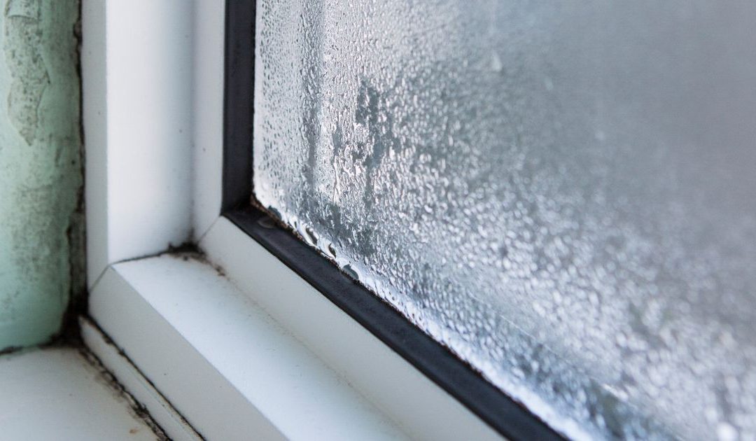 Cleaning fan shares hack to stop window condensation - but admits it sounds 'crazy' - Mirror Online