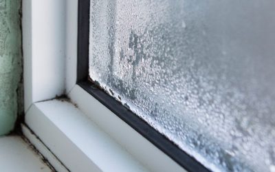Cleaning fan shares hack to stop window condensation – but admits it sounds ‘crazy’ – Mirror Online