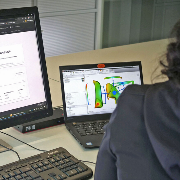 Digital process twin: Mould sampling during flow simulation