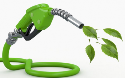 Going Green: Eni starts exporting vegetable oil from castor, croton and – BusinessTrumpet News