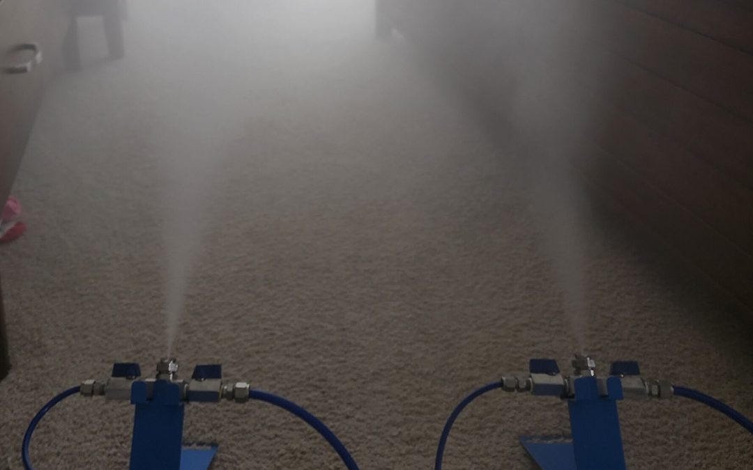 Mould removal FAQ — RenovationFind Blog