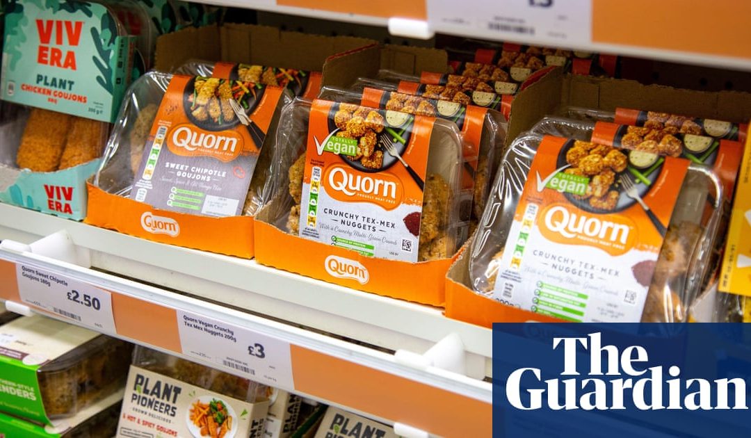 Plant-based meat by far the best climate investment, report finds | Food | The Guardian