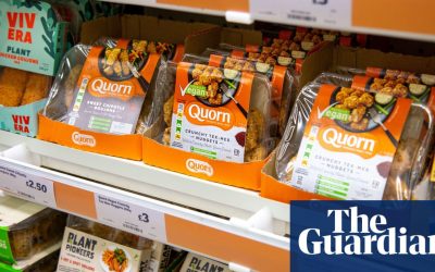 Plant-based meat by far the best climate investment, report finds | Food | The Guardian
