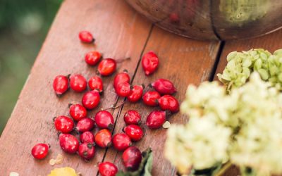 This Tried-And-True DIY Rosehip Oil Moisturizer Is More Anti-Aging Than Botox