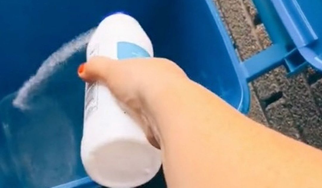 Woman hailed a 'genius' for sharing life hack to stop flies getting into wheelie bins - Mirror Online