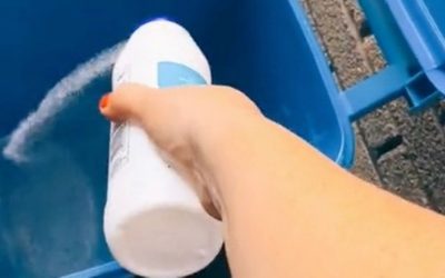 Woman hailed a ‘genius’ for sharing life hack to stop flies getting into wheelie bins – Mirror Online
