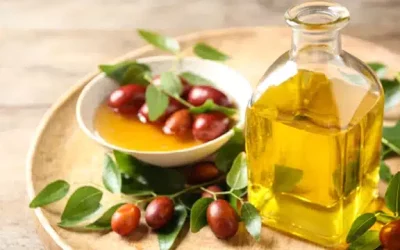 8 Benefits Of Jojoba Oil For Your Health And Skin – Potentash