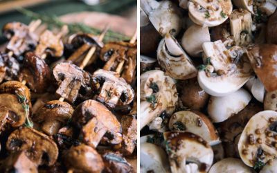 Grilled Mushroom Skewers With Balsamic Sauce Recipe