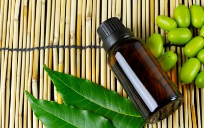How to incorporate neem oil into your beauty routine – N-essentials Pty Ltd