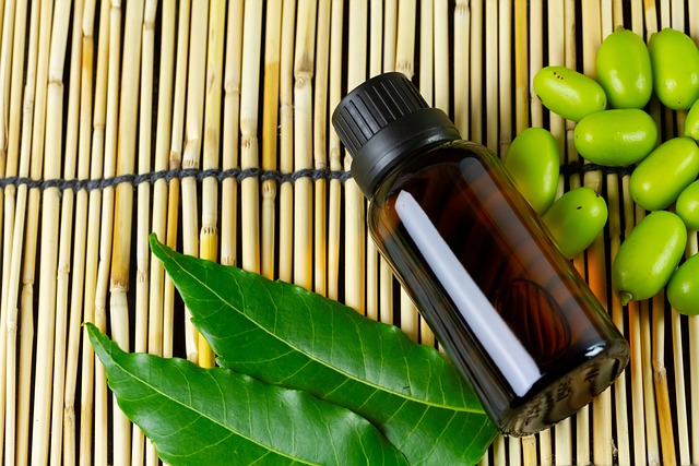 How to incorporate neem oil into your beauty routine – N-essentials Pty Ltd