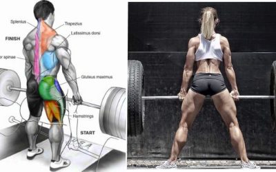 The Top 12 Reasons Why the Deadlift Is One of the Best Exercises Ever – Fitness and Power