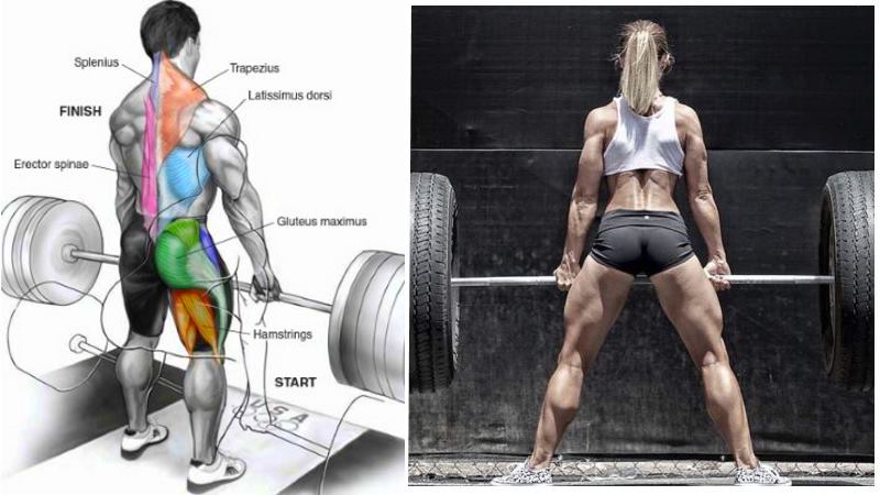 The Top 12 Reasons Why the Deadlift Is One of the Best Exercises Ever – Fitness and Power