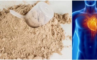 5 Health Benefits of Consuming More Protein – Fitness and Power