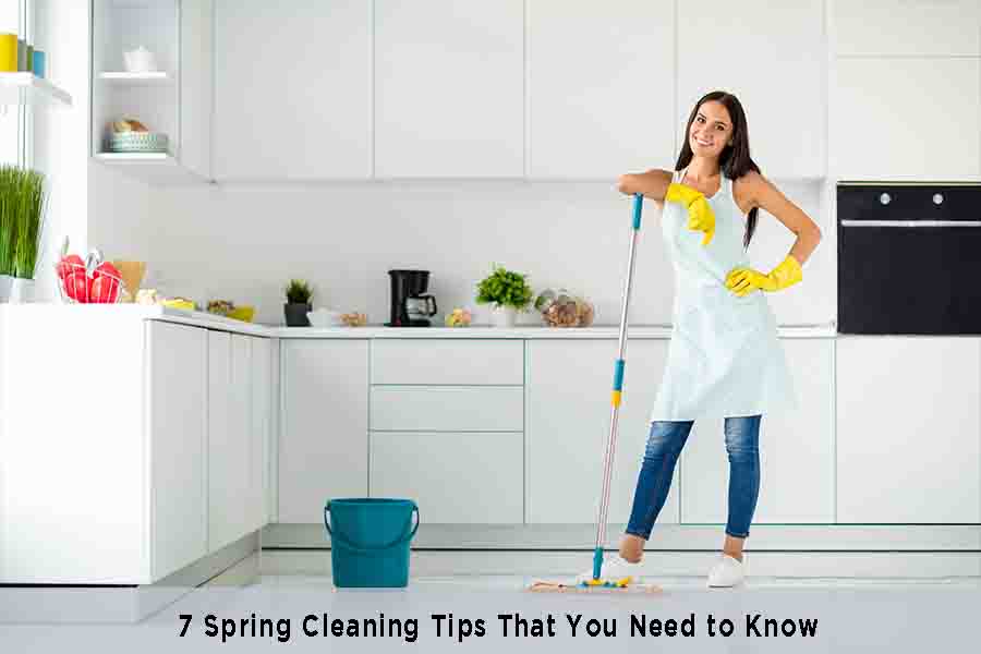 7 Spring Cleaning Tips That You Need to Know: A blog about spring cleaning tips - Micky Says Micky Says