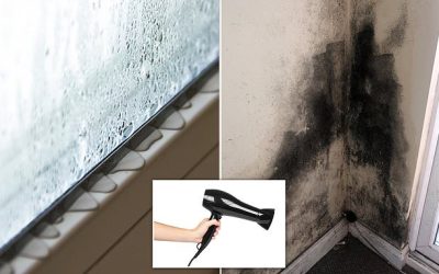 How to stop black mould: You can beat unhealthy condensation build-up in your home with these hacks | Daily Mail Online