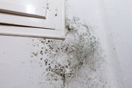 Part 3 – Damp and Mould – “It’s not lifestyle”.