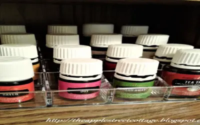 Maximizing Storage: Labeling and Organizing Your Essential Oils
